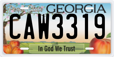 GA license plate CAW3319