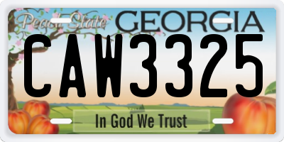 GA license plate CAW3325