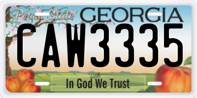 GA license plate CAW3335