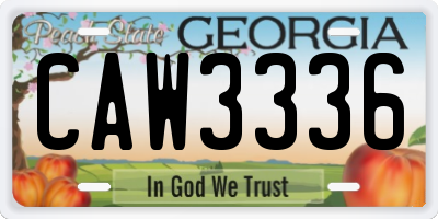 GA license plate CAW3336