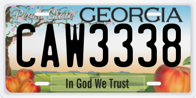 GA license plate CAW3338