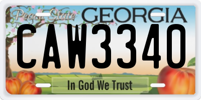 GA license plate CAW3340