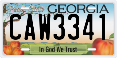 GA license plate CAW3341