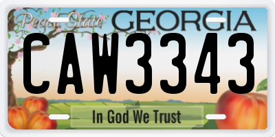 GA license plate CAW3343