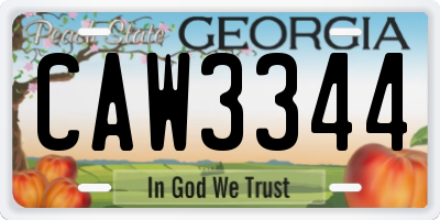 GA license plate CAW3344