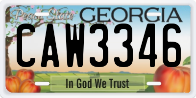 GA license plate CAW3346