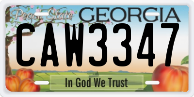 GA license plate CAW3347