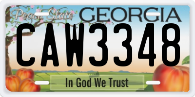 GA license plate CAW3348