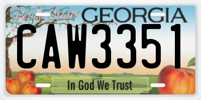 GA license plate CAW3351