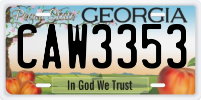 GA license plate CAW3353