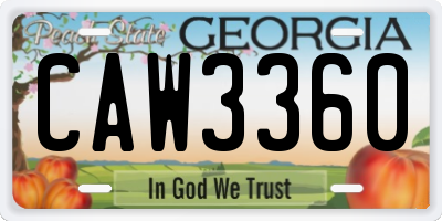 GA license plate CAW3360