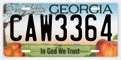 GA license plate CAW3364