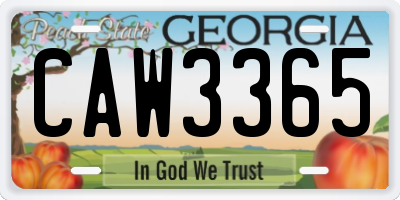 GA license plate CAW3365