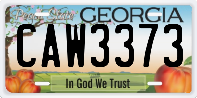 GA license plate CAW3373