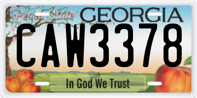 GA license plate CAW3378