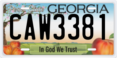 GA license plate CAW3381