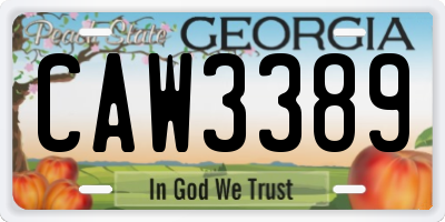 GA license plate CAW3389