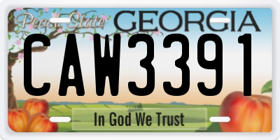 GA license plate CAW3391