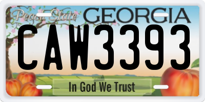 GA license plate CAW3393