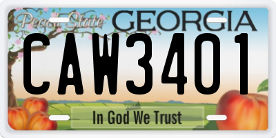 GA license plate CAW3401