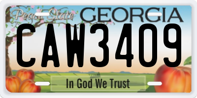 GA license plate CAW3409