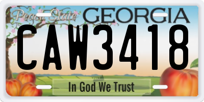 GA license plate CAW3418