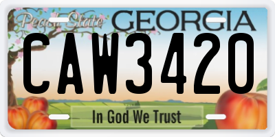 GA license plate CAW3420