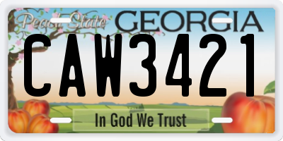 GA license plate CAW3421