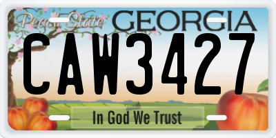 GA license plate CAW3427