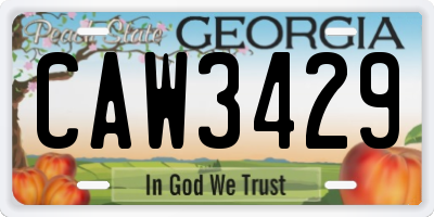 GA license plate CAW3429