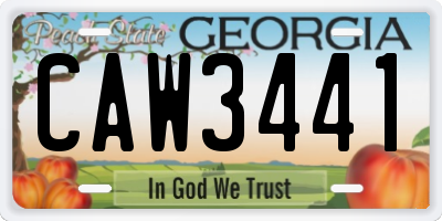 GA license plate CAW3441