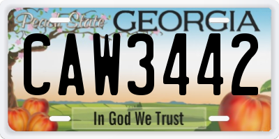 GA license plate CAW3442