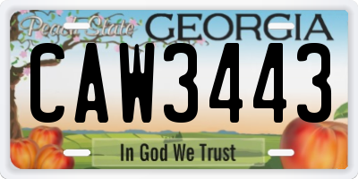 GA license plate CAW3443