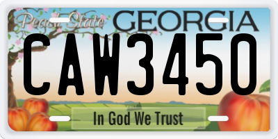 GA license plate CAW3450