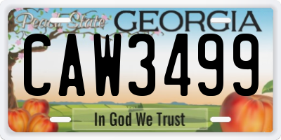 GA license plate CAW3499