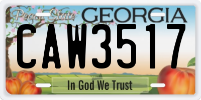 GA license plate CAW3517