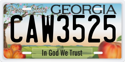 GA license plate CAW3525