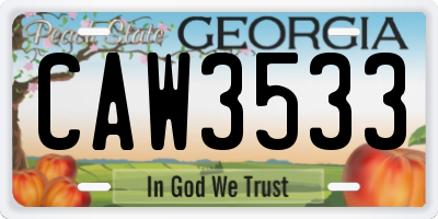 GA license plate CAW3533