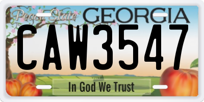 GA license plate CAW3547