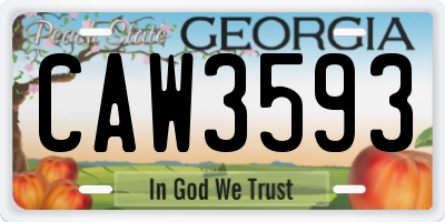 GA license plate CAW3593