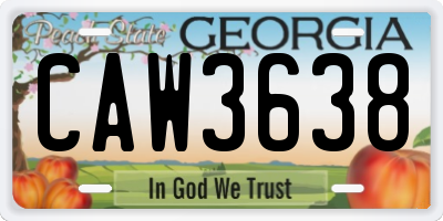 GA license plate CAW3638