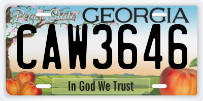 GA license plate CAW3646