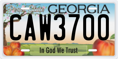 GA license plate CAW3700