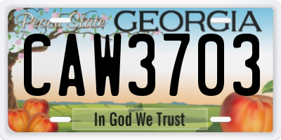GA license plate CAW3703