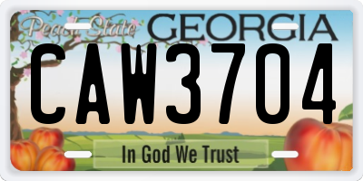 GA license plate CAW3704