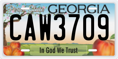 GA license plate CAW3709