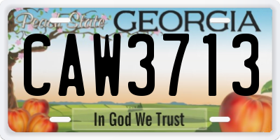 GA license plate CAW3713