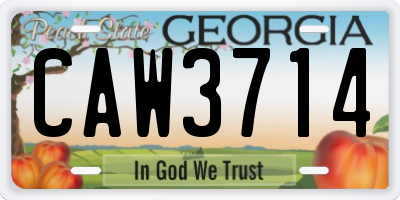 GA license plate CAW3714