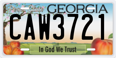 GA license plate CAW3721