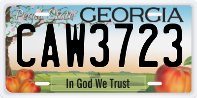 GA license plate CAW3723